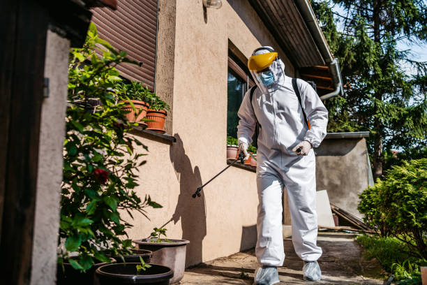 Best Affordable Pest Control Services  in Clarks Green, PA