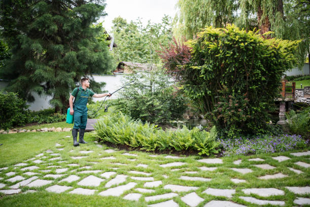 Best Residential Pest Control  in Clarks Green, PA