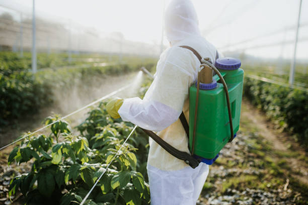Best Pest Prevention Services  in Clarks Green, PA